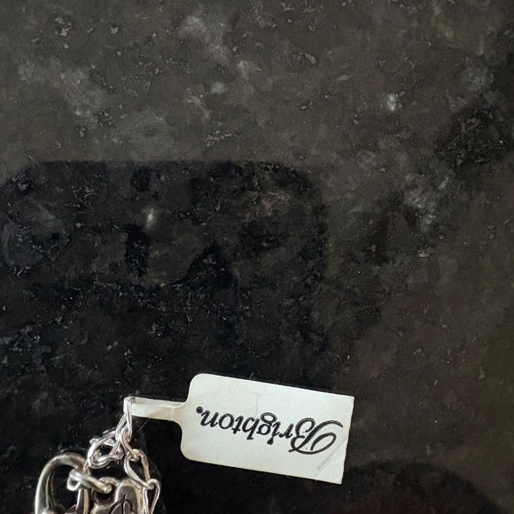 NWT - Brighton Ferrara Petite Y Necklace - Picture 9 of 10